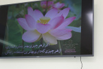 پخش اسلایدهای فرهنگی از نمایشگر دانشکده